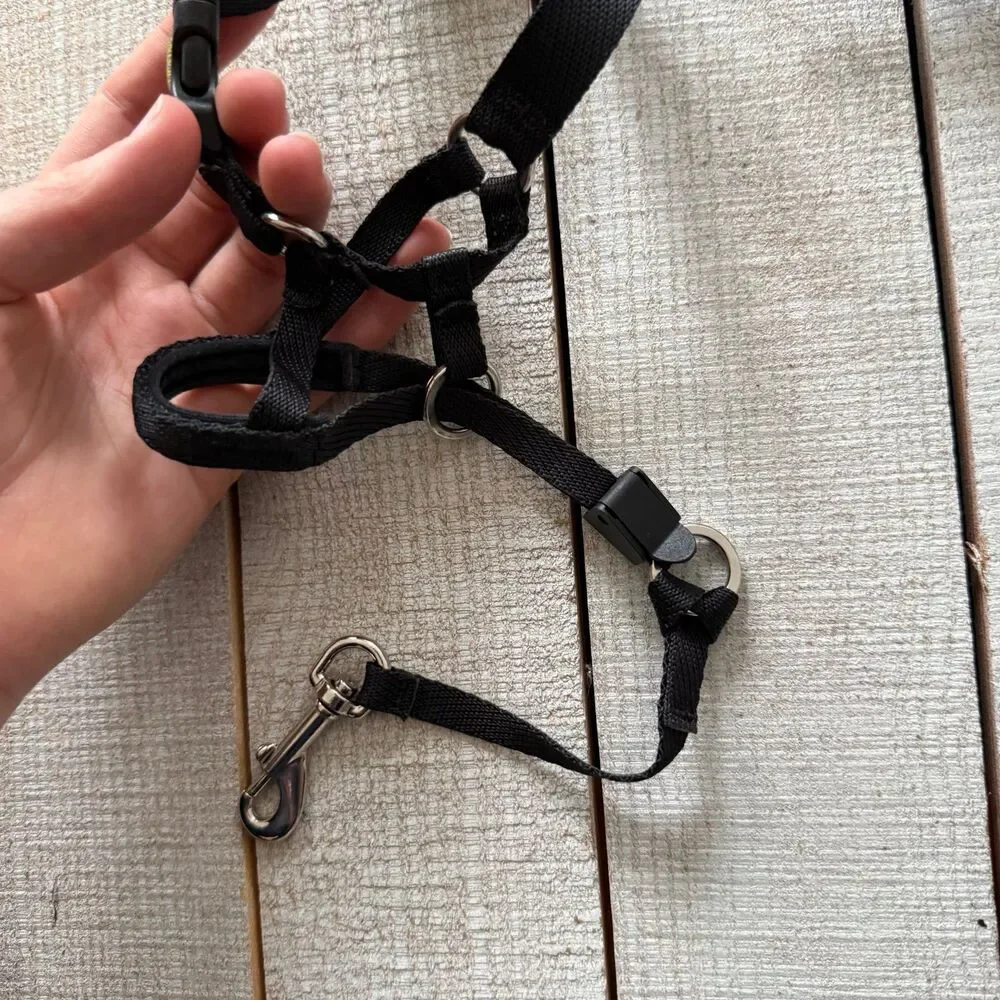 Coastal Walk ‘n Train Dog Head Halter